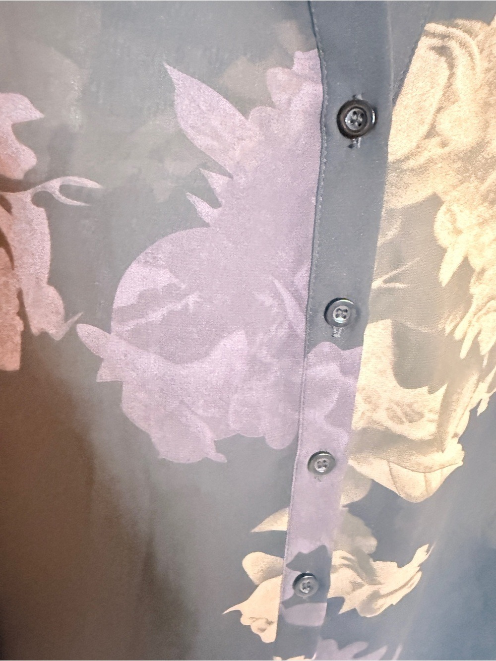Aveloria Sheer Floral Button Down Blouse Small Feminine Dark Romance - Picture 6 of 6